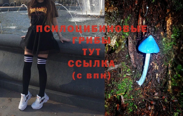 дживик Армянск