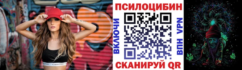 МЕГА зеркало  дарнет шоп  Мариинск  Псилоцибиновые грибы мухоморы 